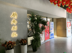 中注册税务师、注册会计师占比超60%